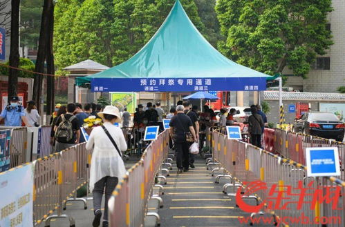 清明假期首日廣州逾12萬(wàn)人現(xiàn)場(chǎng)祭掃,無(wú)煙拜祭鮮花拜祭成新風(fēng)尚